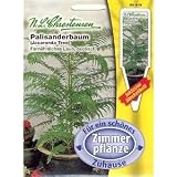 Eigenschaften Chrestensen  / Palisanderbaum (Portion inkl. Stecketikett)