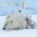 Polar Babies Calendar
