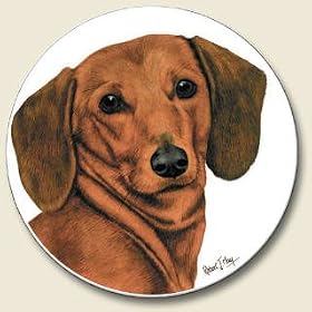 DACHSHUND DOG Auto Coaster, Single Coaster by Highland Graphics