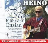 Blau Bluht der Enzian