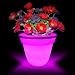 Flower Power Colour changing LED Plant Pot