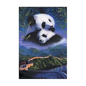 Animals - Poster Pandas