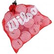 Wilson Logo Overrun Golf Balls 2-Dozen Bag