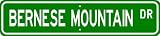 Bernese Mountain STREET SIGN ~ High Quality Aluminum ~ Dog Lover