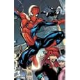 Marvel Knights Spider-Man Vol. 1: Down Among the Dead Men