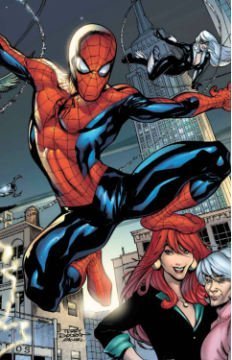 Spider