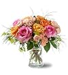Garden of Roses