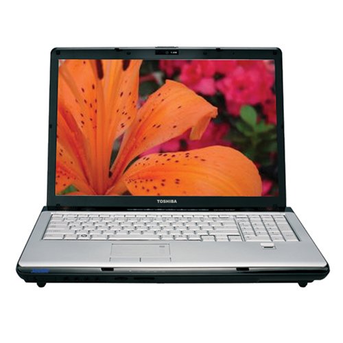 Toshiba Satellite X205-SLI6 17-inch Laptop (2.5 GHz Intel Core 2 Duo T9300 Processor, 3 GB RAM, 400 GB Hard Drive, DVD Drive, Vista Ultimate)