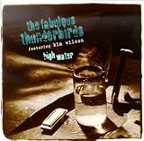 Review The Fabulous Thunderbirds  / High Water