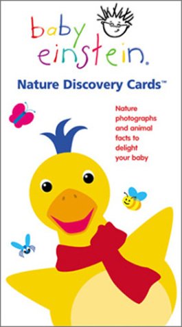 Baby Preschool