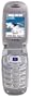 PCS Phone Samsung VGA1000 (Sprint)