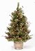 3' Pre-Lit Indoor/Outdoor Adirondack Christmas Potted Topiary Tree
