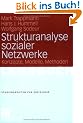 Strukturanalyse sozialer Netzwerke: Konzepte, Modelle, Methoden. (Studienskripten zur Soziologie)