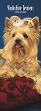 Yorkshire Terriers 2009 Slimline Calendar