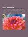 Lichaamsvocht: Sperma, Bloed, Borstvoeding, Urine, Moedermelk, Vaginale afscheiding, Speeksel, Bloedplasma, Traan, Hersenvocht, Gal, Ascites (Dutch Edition) Lichaamsvocht: Sperma, Bloed, Borstvoeding, Urine, Moedermelk, Vaginale afscheiding, Speeksel, Bloedplasma, Traan, Hersenvocht, Gal, Ascites (Dutch Edition)