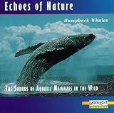 Echoes of Nature: Humpback Whales