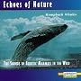 Echoes of Nature: Humpback Whales