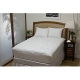 Allergy 101 Twin Mattress Pad by 