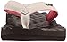 Reef Women's Dreams Flip-Flop