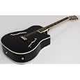 NEW GLOSS JET BLACK HOLLOWBODY ACOUSTIC ELECTRIC GUITAR