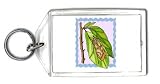 Keychain with bug, butterfly, pattern, clothes, insect, wings, moth