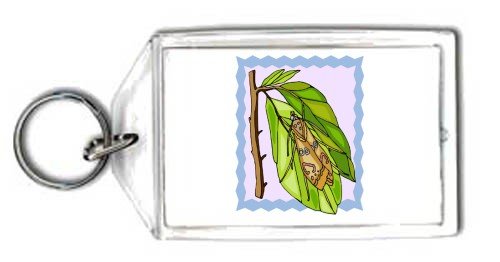 Keychain with bug, butterfly, pattern, clothes, insect, wings, moth