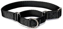 Premier Pet Collar Medium 1-Inch, Black
