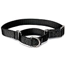 PetSafe Martingale Collar, 3/4" Small, Black