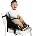 Munchkin Travel Booster Seat