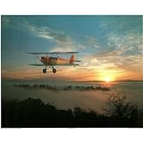 (16x20) Red & Yellow Plane (In Sunset) Art Poster Print