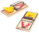 Garant Ypm18Eakd Poly Comb Snow Shovel 18