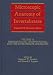 Books : Microscopic Anatomy of Invertebrates, Hemichordata, Chaetognatha, and the Invertebrate Chordates (Volume 15)