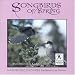 Nature Recordings: Song Birds of Spring