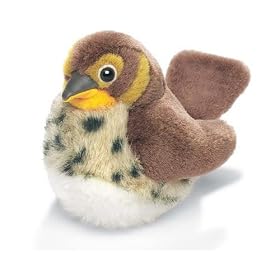 RSPB Song Thrush
