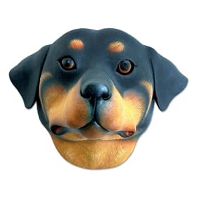 'Wood mask, 'Loyal Rottweiler' (large) by NOVICA