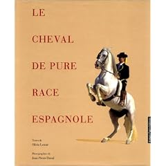 Cheval de pure race espagnole
