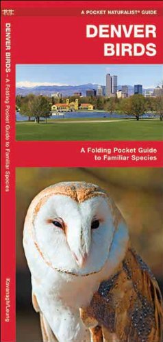 Denver Birds: A Folding Pocket Guide to Familiar Species (Pocket Naturalist Guide Series)