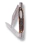 Winchester 22-01365  Mini 2 Blade Ersatz Stag Stockman