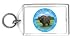 Keychain with buffalo, bison, animal, horns, field