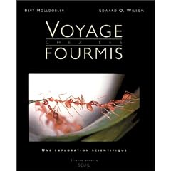 Voyage chez les fourmis - une exploration scientifique