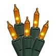 Set of 100 Amber Gold Everglow Mini Christmas Lights - Green Wire