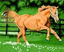 HORSE RUNNING 503 Fleece blanket 50x60