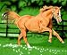 Running Horse Fleece Throw