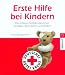  : Erste Hilfe bei Kindern: Die richtigen Notfallma&szlig;nahmen bei Babys, Kleinkindern und Kindern
