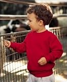 Toddler Sweat Shirt (closeout) by Rabbit Skins (Style# 3317)