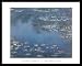 Claude Monet (Waterlilies) Art White Wood-Mounted Poster Print - 22