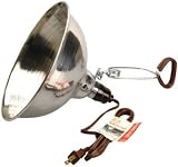 Clip-On Lamps