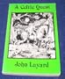 Celtic Quest: Sexuality and Soul in Individuation (Seminar Series)