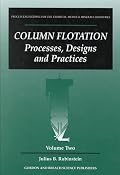 Column Flotation: Processes, Designs and Practices (Process Engineering for the Chemical, Metals and Minerals Industries, Vol 2)