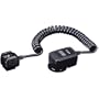 Canon Off Camera Shoe Cord 2 for Canon Pro1, G2, G3, G5 & G6 Digital Cameras